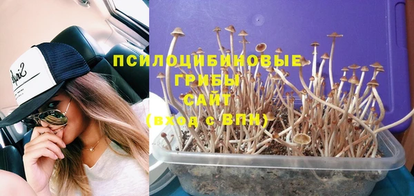 ПСИЛОЦИБИНОВЫЕ ГРИБЫ Зеленодольск