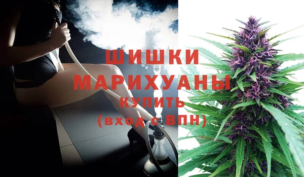 ПСИЛОЦИБИНОВЫЕ ГРИБЫ Зеленодольск
