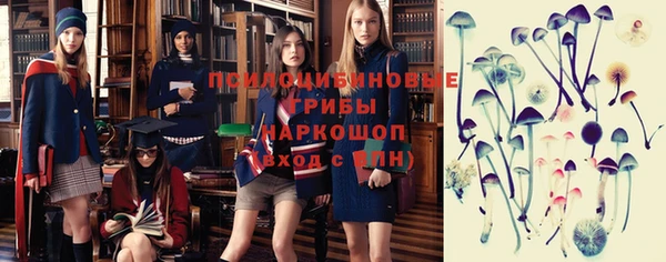 ПСИЛОЦИБИНОВЫЕ ГРИБЫ Зеленодольск