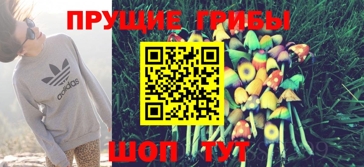 Галлюциногенные грибы мицелий Южно-Сахалинск