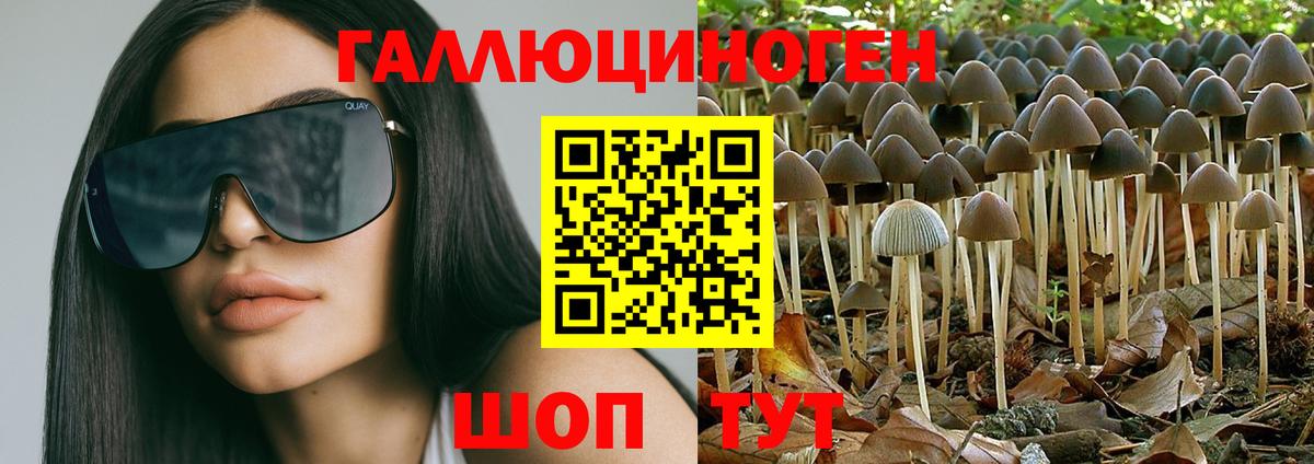 Псилоцибиновые грибы Magic Shrooms  Вход с VPN  Южно-Сахалинск 